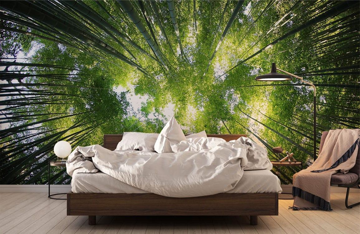 Bamboo Sky